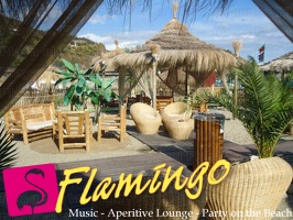 Playa el Flamingo-area Privé-Day- (43)