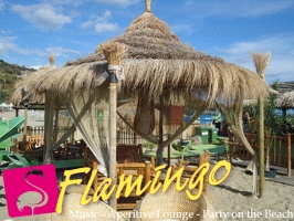 Playa el Flamingo-area Privé-Day- (47)