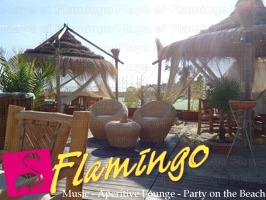 Playa el Flamingo-area Privé-Day- (52)