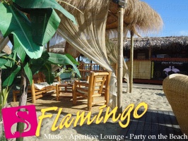 Playa el Flamingo-area Privé-Day- (51)