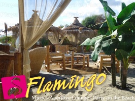 Playa el Flamingo-area Privé-Day- (50)