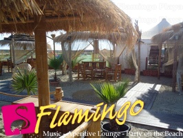 Playa el Flamingo-area Privé-Day- (58)
