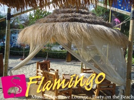 Playa el Flamingo-area Privé-Day- (57)