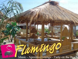 Playa el Flamingo-area Privé-Day- (56)