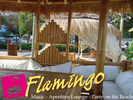 Playa el Flamingo-area Privé-Day- (60)