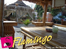 Playa el Flamingo-area Privé-Day- (59)