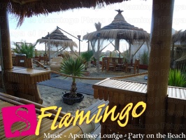 Playa el Flamingo-area Privé-Day- (63)
