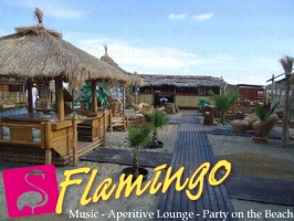 Playa el Flamingo-area Privé-Day- (64)