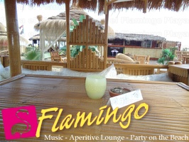Playa el Flamingo-area Privé-Day- (62)