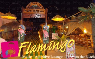 Playa El Flamingo-Area Privé-Night- (6)