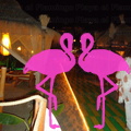 Playa El Flamingo-Area Privé-Night- (5)