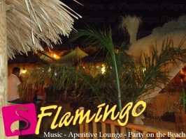 Playa El Flamingo-Area Privé-Night- (4)
