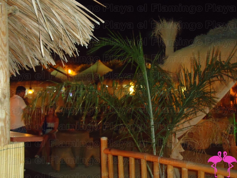 Playa El Flamingo-Area Privé-Night- (4).JPG