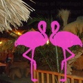 Playa El Flamingo-Area Privé-Night- (4)
