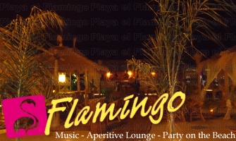 Playa El Flamingo-Area Privé-Night- (8)