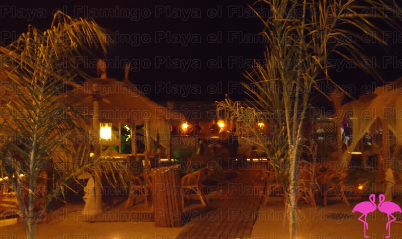 Playa El Flamingo-Area Privé-Night- (8).JPG
