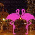 Playa El Flamingo-Area Privé-Night- (8).JPG