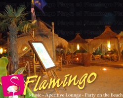 Playa El Flamingo-Area Privé-Night- (7)