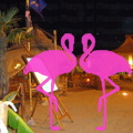 Playa El Flamingo-Area Privé-Night- (7).JPG