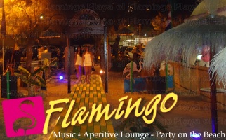 Playa El Flamingo-Area Privé-Night- (9)
