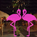 Playa El Flamingo-Area Privé-Night- (10).JPG