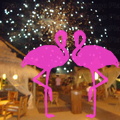 Playa El Flamingo-Area Privé-Night- (12)