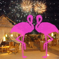 Playa El Flamingo-Area Privé-Night- (13)