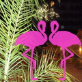 Playa El Flamingo-Area Privé-Night- (14).JPG