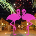Playa El Flamingo-Area Privé-Night- (16).JPG