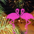 Playa El Flamingo-Area Privé-Night- (15)