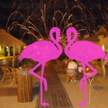 Playa El Flamingo-Area Privé-Night- (20)