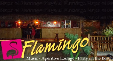 Playa El Flamingo-Area Privé-Night- (22)