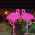 Playa El Flamingo-Area Privé-Night- (22)