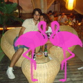 Playa El Flamingo-Area Privé-Night- (30).JPG