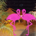 Playa El Flamingo-Area Privé-Night- (32).JPG