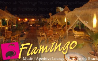 Playa El Flamingo-Area Privé-Night- (33)