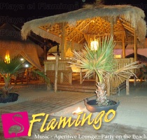 Playa El Flamingo-Area Privé-Night- (36)