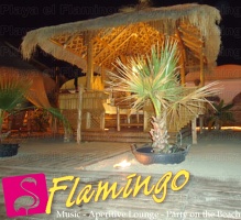 Playa El Flamingo-Area Privé-Night- (37)