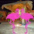 Playa El Flamingo-Area Privé-Night- (37).JPG