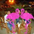 Playa El Flamingo-Area Privé-Night- (39).JPG
