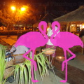 Playa El Flamingo-Area Privé-Night- (40)