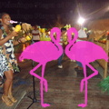 Playa El Flamingo-Area Privé-Night- (43)