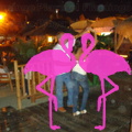 Playa El Flamingo-Area Privé-Night- (44)