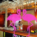 Playa El Flamingo-Area Privé-Night- (49).JPG