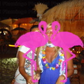 Playa El Flamingo-Area Privé-Night- (48)