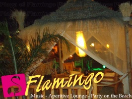 Playa El Flamingo-Area Privé-Night- (51)
