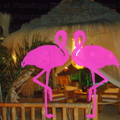 Playa El Flamingo-Area Privé-Night- (51)