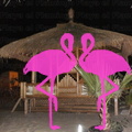 Playa El Flamingo-Area Privé-Night- (58)