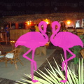 Playa El Flamingo-Area Privé-Night- (41).JPG