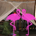 Playa El Flamingo-Area Privé-Night- (59).JPG
